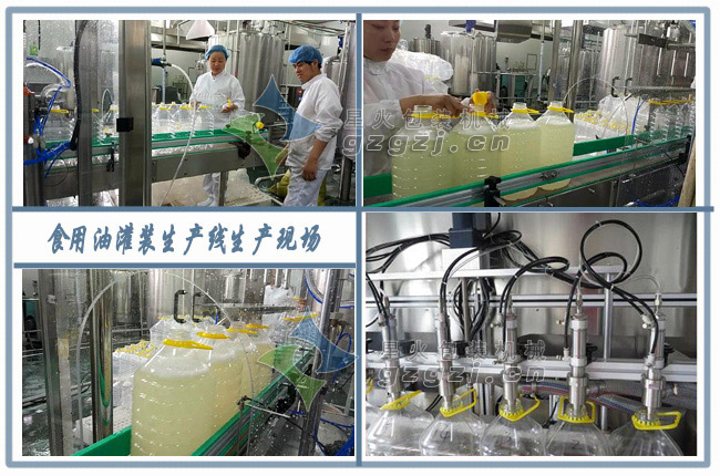稻胚油包装生产线客户案例